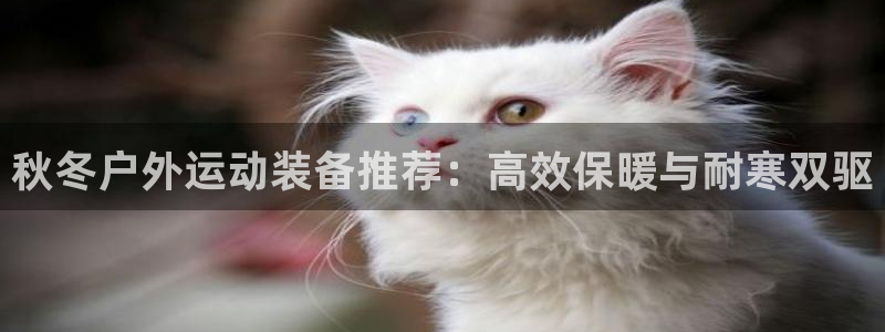 富邦 娱乐 花花公子