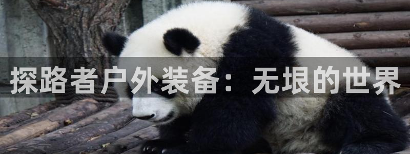 富邦娱乐合并