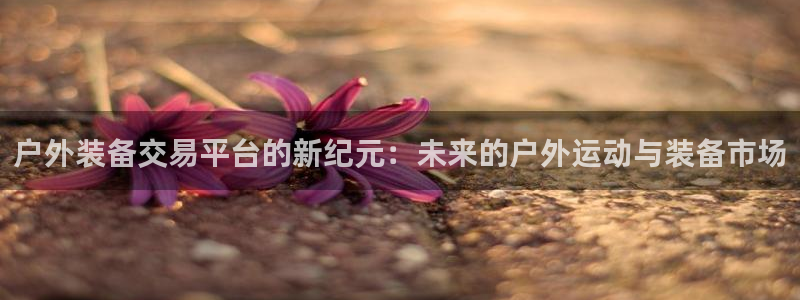 富邦娱乐有限公司