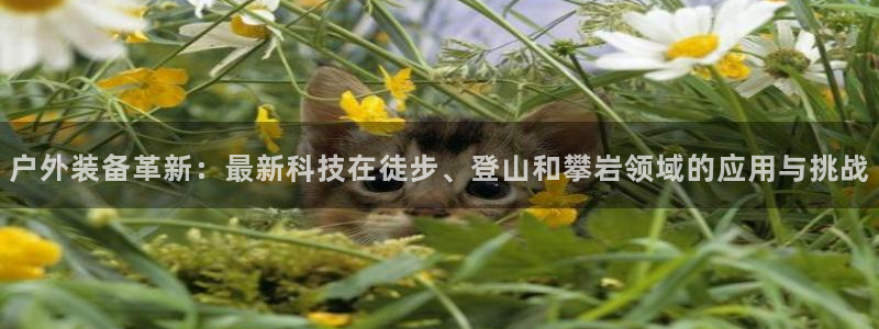 富博娱乐可以邦银行卡吗