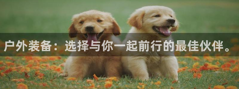 邦富娱乐国际