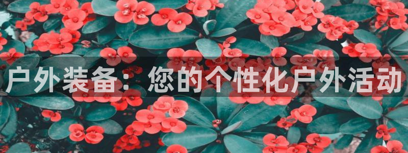 富邦娱乐场线路