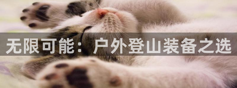 富邦娱乐平台登录网址