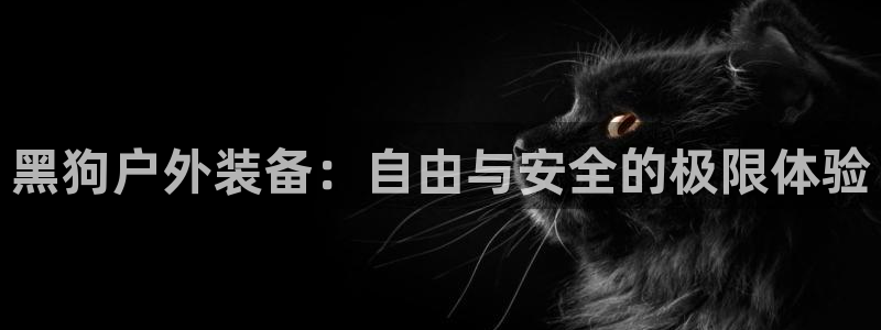 富邦娱乐代理注册