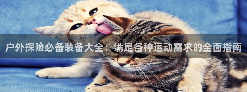 富邦电子娱乐网址