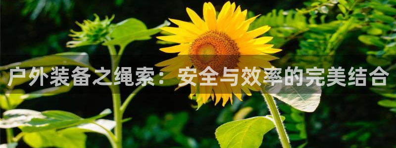 菲律宾富邦娱乐