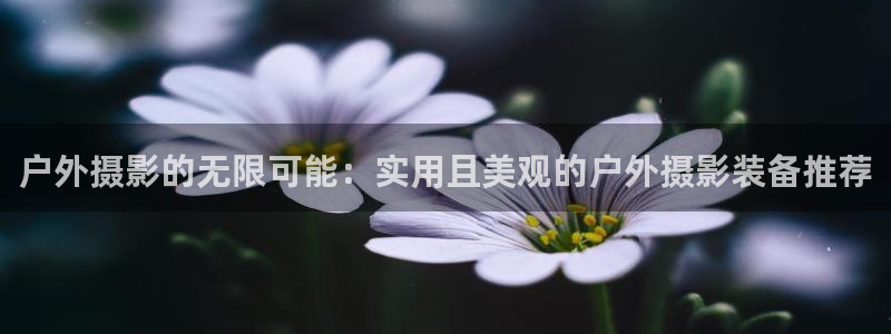 富邦美业势不可挡娱乐