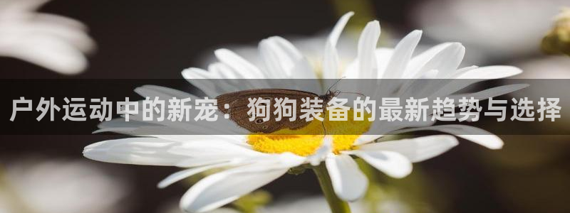 富邦老品牌娱乐城