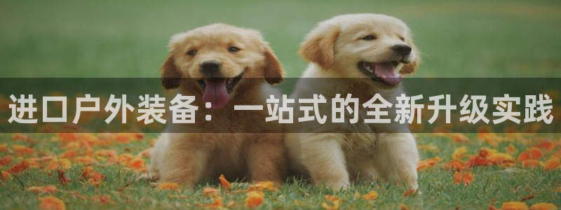 富邦娱乐app的三个版本