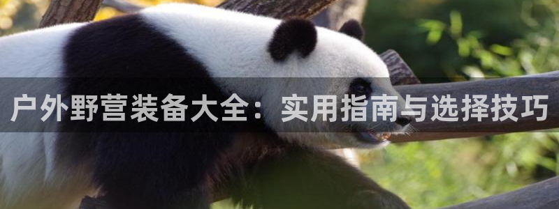 富邦网上娱乐网址大全