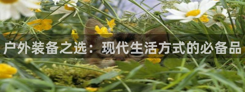 富邦娱乐团购活动