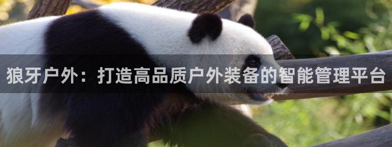 富邦娱乐网站登录