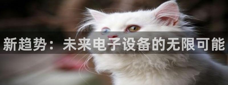 余杭富邦娱乐会所