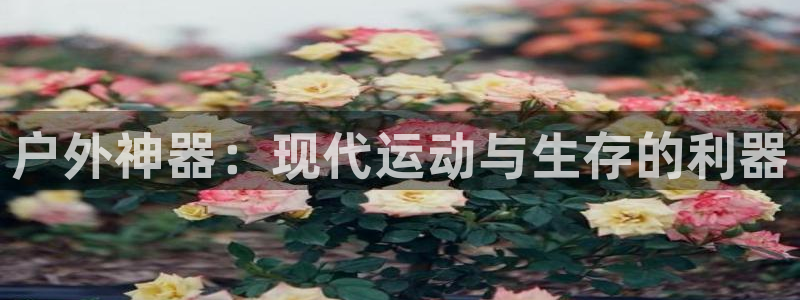 屏山富邦娱乐会所电话多少