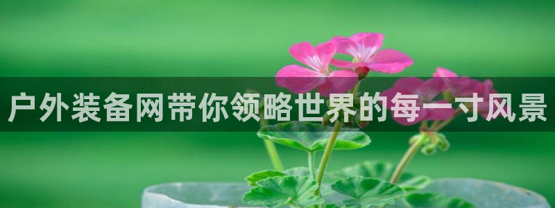 富邦娱乐彩票官网下载