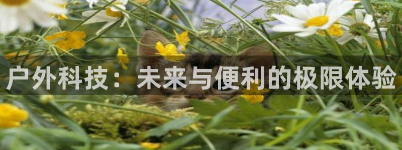 杭州富邦娱乐在营业吗